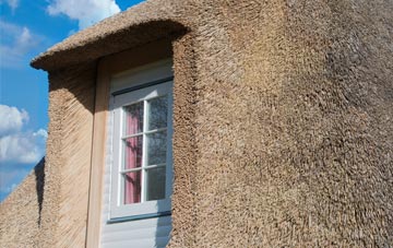 Libbery thatch roof disadvantages